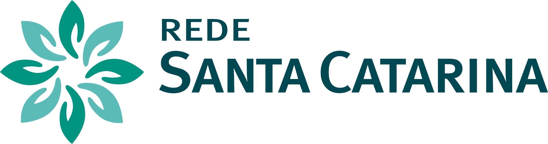 Logo Rede Santa Catarina